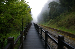 IMGP0656