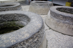 IMGP8581