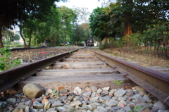 IMGP1200