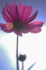 IMGP0003