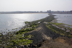 _IGP9849