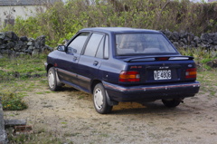 _IGP9884