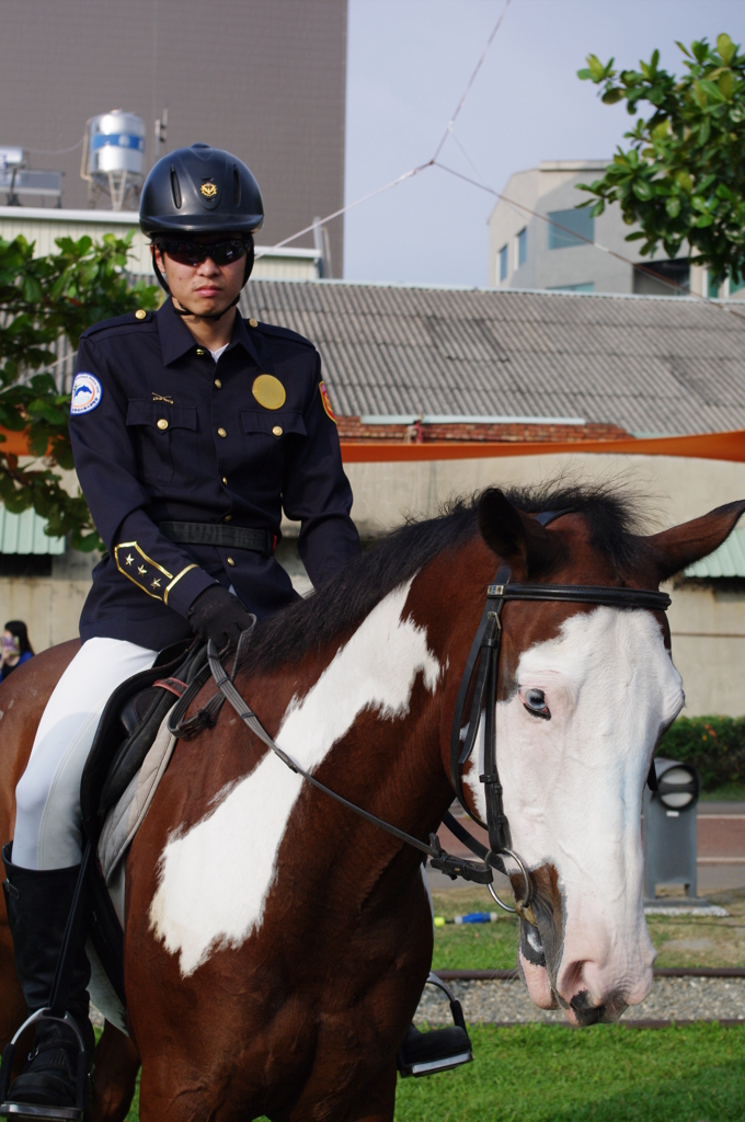 IMGP0959