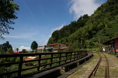 IMGP3007