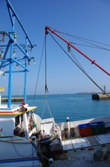 IMGP8071