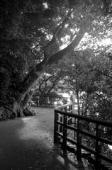 西ノ刻