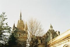 FH000019