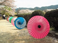 2018春　明日香