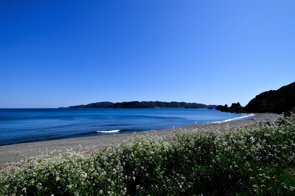 DSCF2556