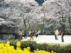 2018春　明日香