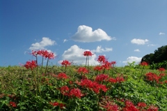 千早赤阪村2014秋