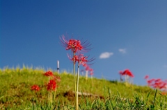 千早赤阪村2014秋