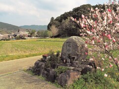 2018春　明日香