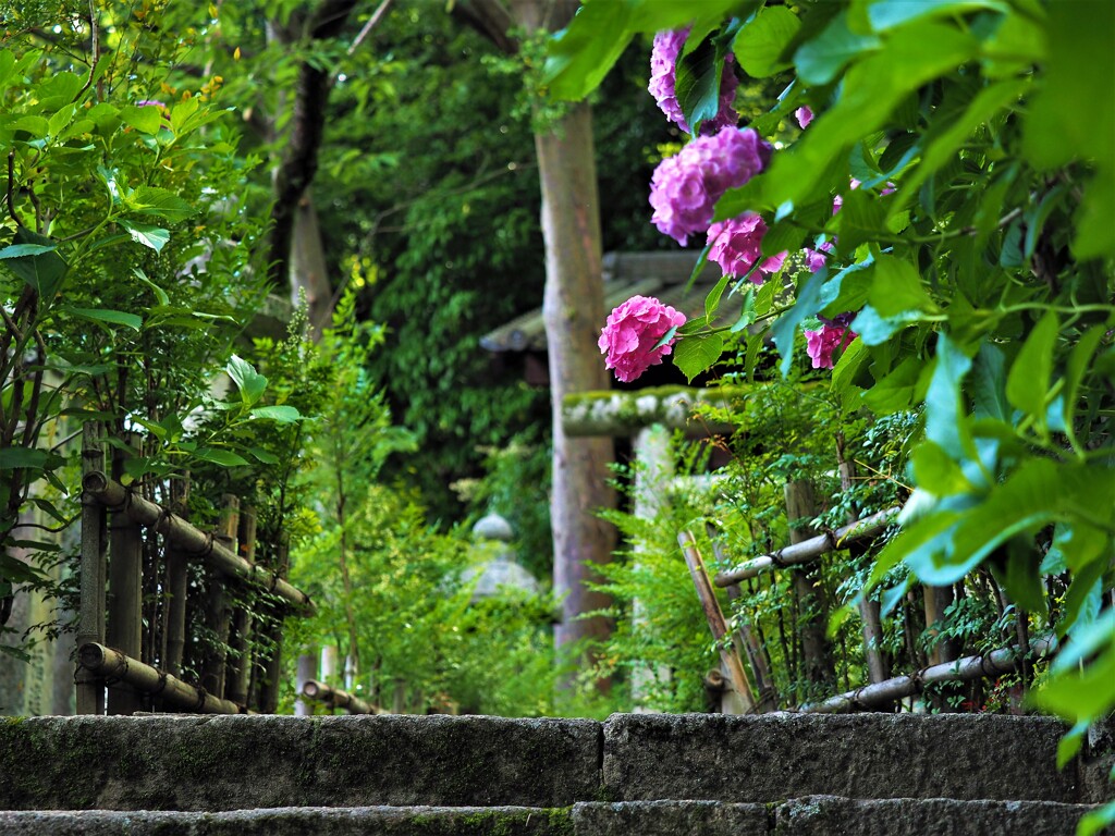 奈良・長谷寺