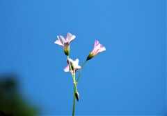 和歌山・2018春
