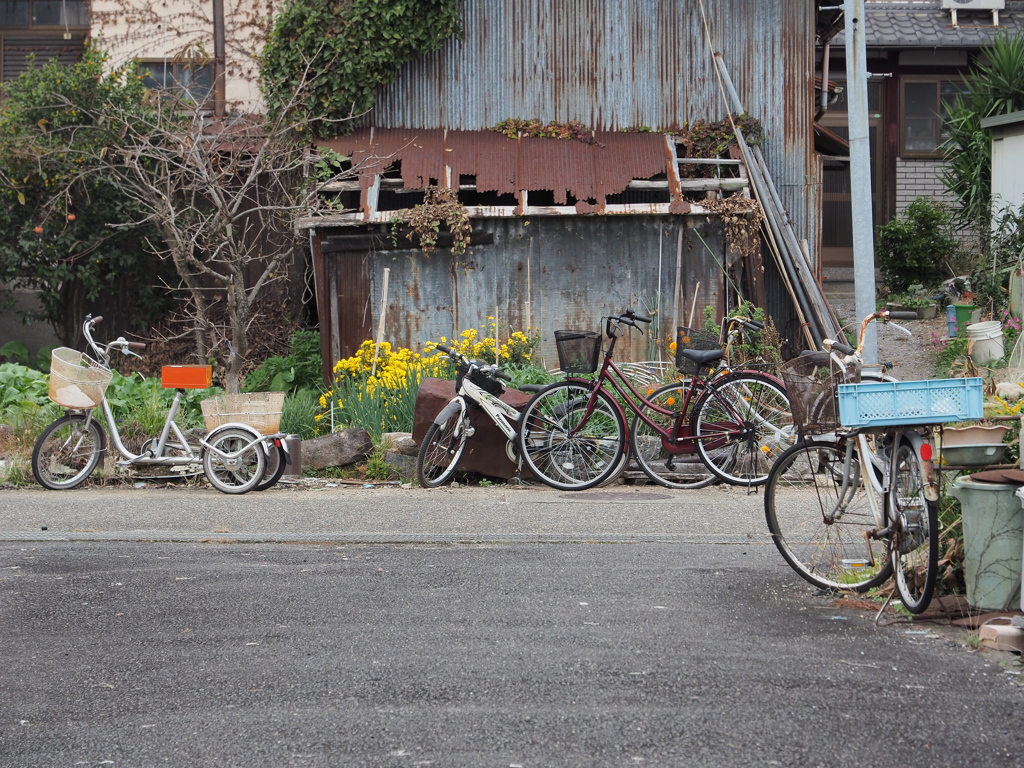 沖島と自転車