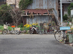 沖島と自転車