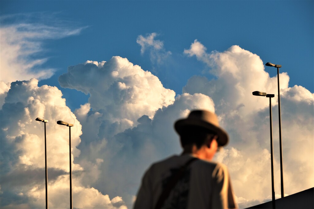 夏雲