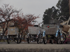 沖島と自転車