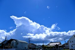 夏真っ盛り・入道雲