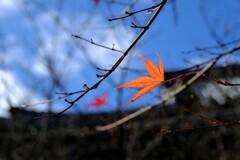 京都・長岡天神