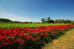 千早赤阪村2014秋