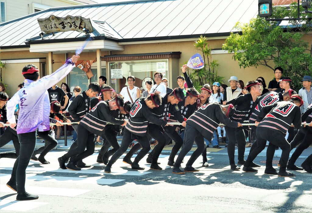 だんじり祭り