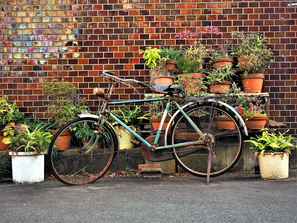クラシック自転車