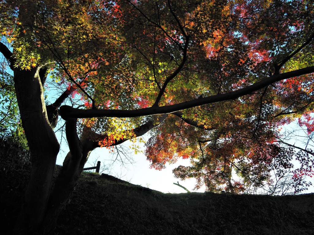 根来寺