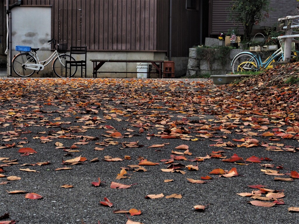 沖島と自転車
