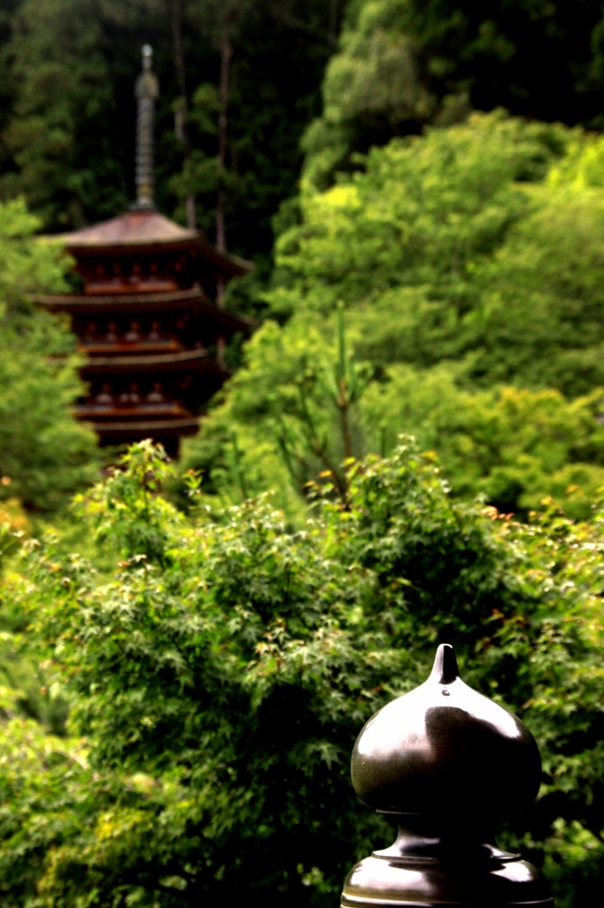 初夏　長谷寺