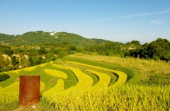 千早赤阪村