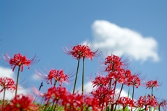 千早赤阪村2014秋