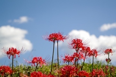 千早赤阪村2014秋