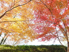根来寺