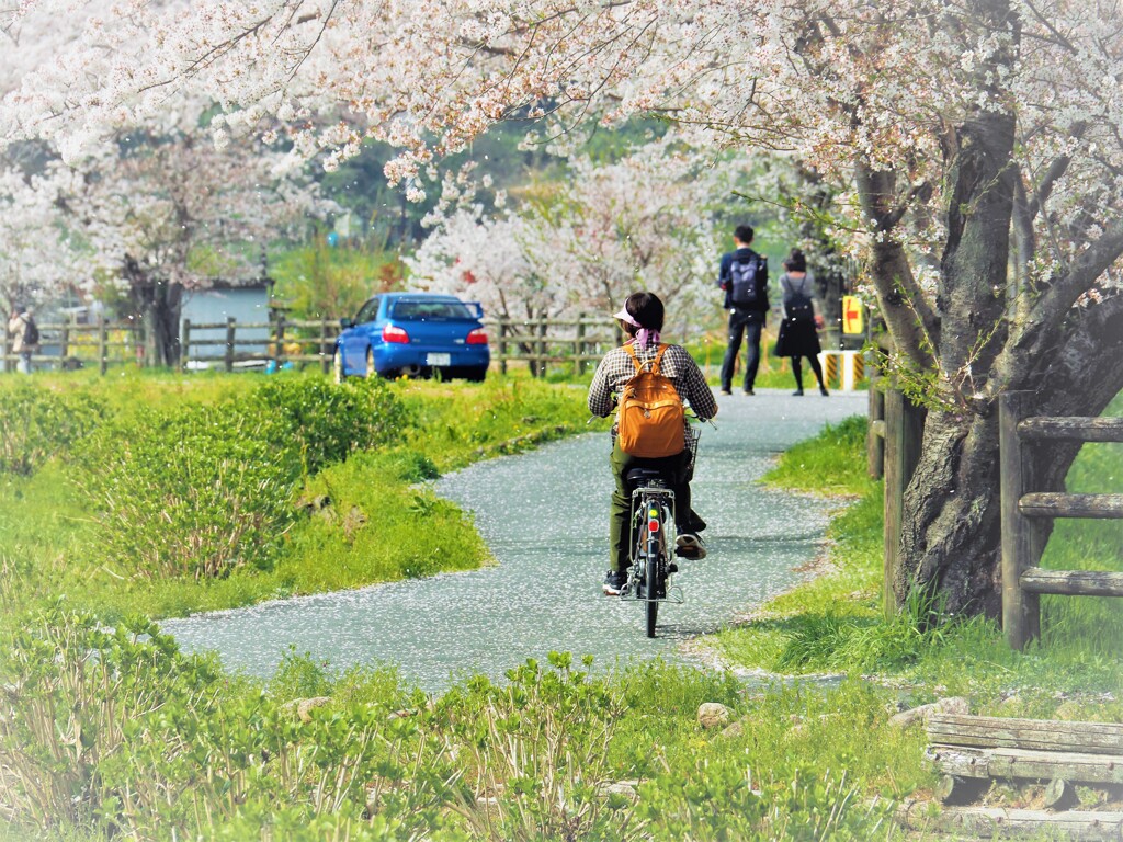 2018春　明日香