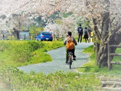 2018春　明日香