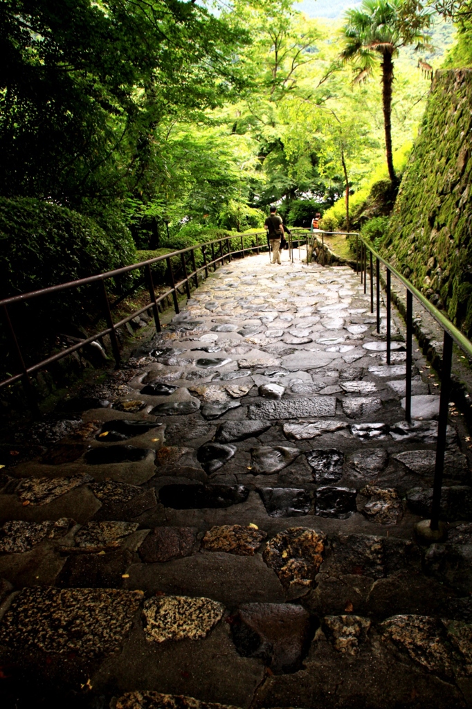初夏　長谷寺
