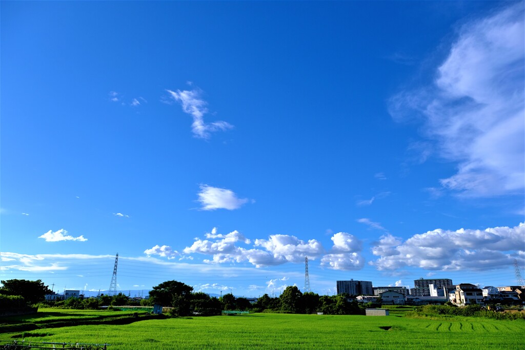 夏空