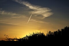 朝焼けと飛行機雲