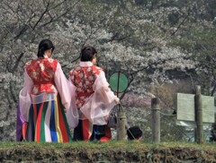 2018春　明日香