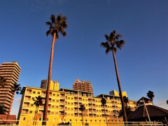 黄昏のマリナーシティ