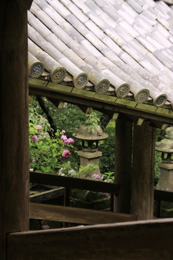 初夏　長谷寺