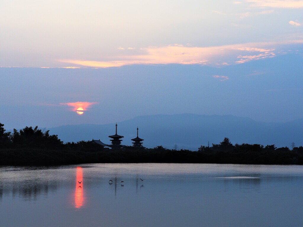 早朝の大池