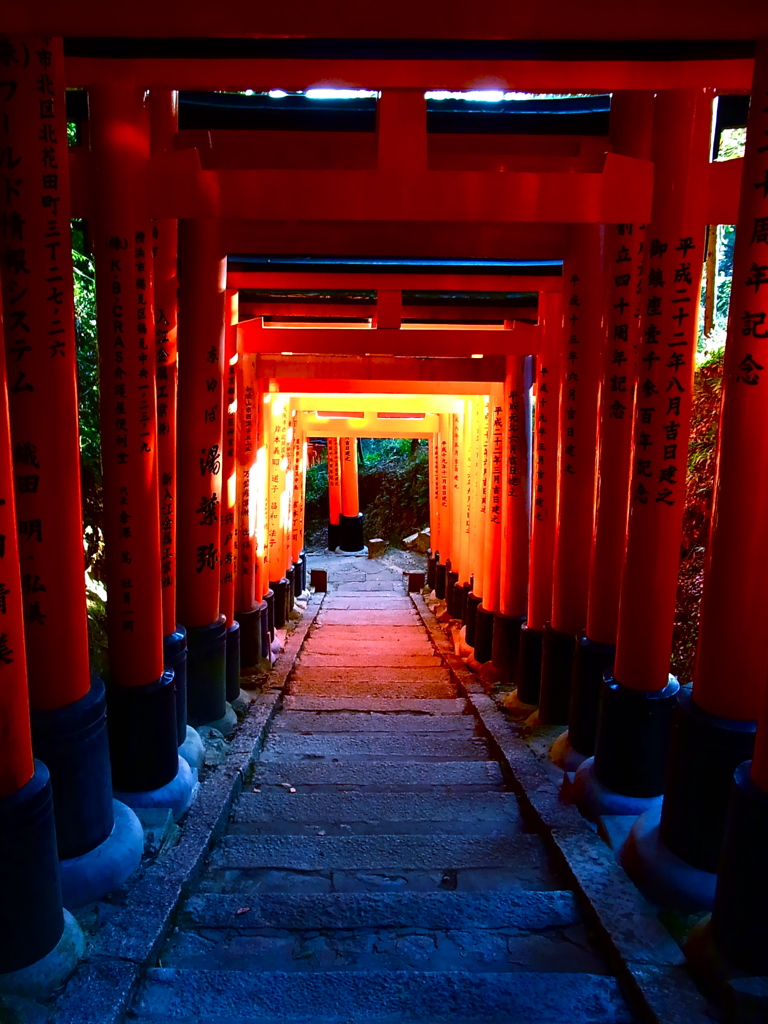 狐の神様がすむところ