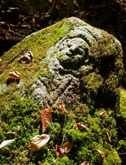 苔生す陰影