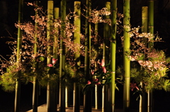 高知城　花回廊　