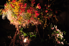 高知城　花回廊
