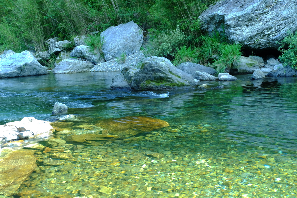 夏の上八川川Ⅷ