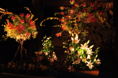 高知城　花回廊